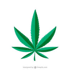 marijuana leaf2